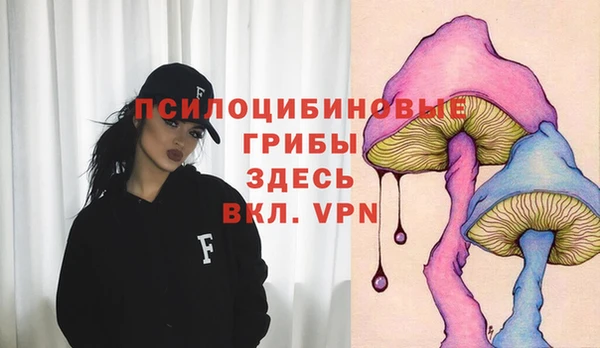 spice Лиски