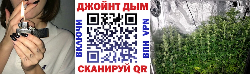 Канабис план Фёдоровский