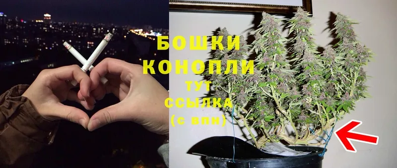 Марихуана SATIVA & INDICA  купить   Фёдоровский 